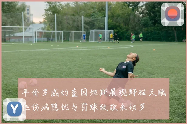 平价罗威的奎因坦斯展现野猫天赋但伤病隐忧与罚球致敬米切罗